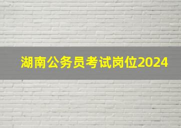 湖南公务员考试岗位2024