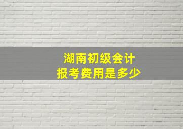 湖南初级会计报考费用是多少