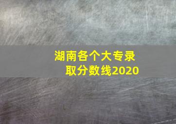 湖南各个大专录取分数线2020