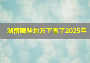 湖南哪些地方下雪了2025年