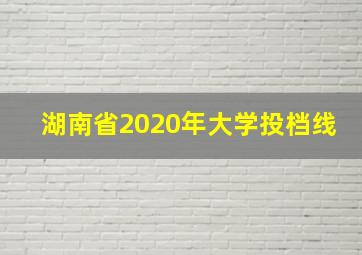 湖南省2020年大学投档线