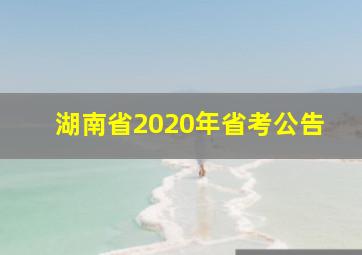 湖南省2020年省考公告