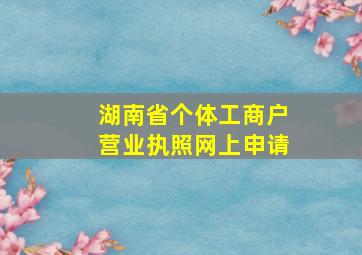 湖南省个体工商户营业执照网上申请