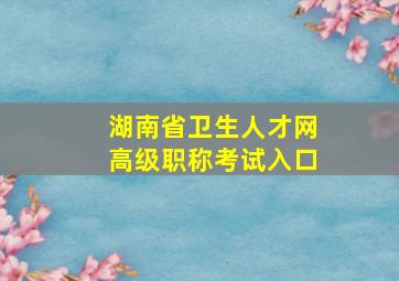 湖南省卫生人才网高级职称考试入口