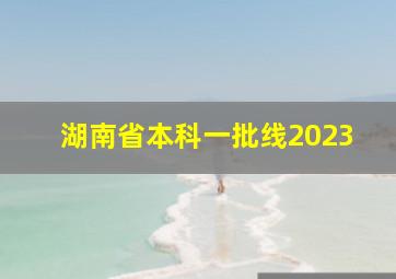 湖南省本科一批线2023