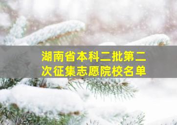 湖南省本科二批第二次征集志愿院校名单