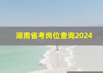 湖南省考岗位查询2024