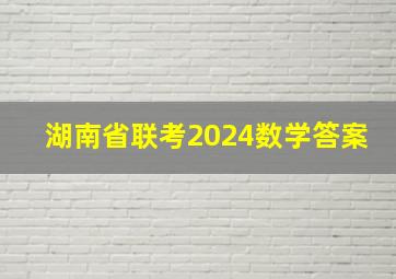 湖南省联考2024数学答案