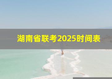 湖南省联考2025时间表