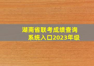 湖南省联考成绩查询系统入口2023年级