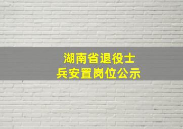 湖南省退役士兵安置岗位公示