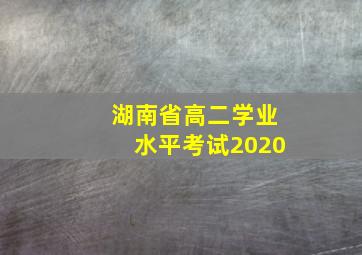 湖南省高二学业水平考试2020