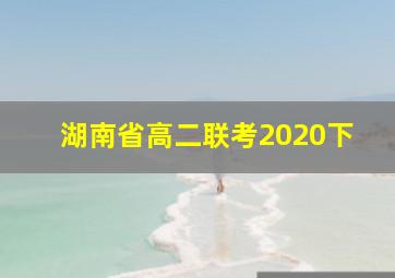 湖南省高二联考2020下