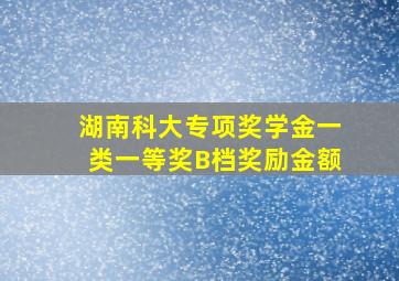 湖南科大专项奖学金一类一等奖B档奖励金额