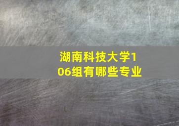 湖南科技大学106组有哪些专业