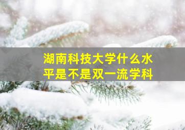 湖南科技大学什么水平是不是双一流学科