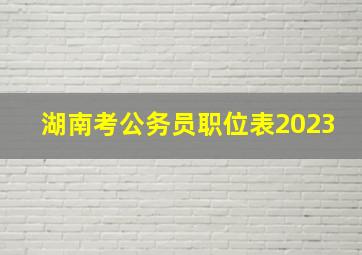 湖南考公务员职位表2023