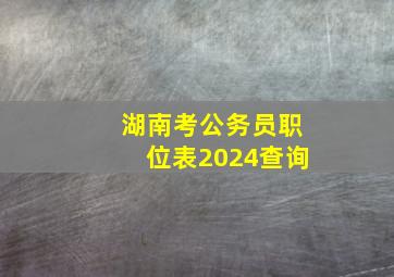 湖南考公务员职位表2024查询