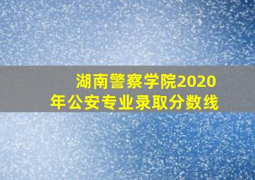 湖南警察学院2020年公安专业录取分数线