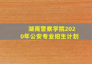 湖南警察学院2020年公安专业招生计划