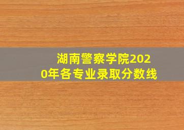 湖南警察学院2020年各专业录取分数线