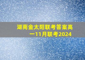 湖南金太阳联考答案高一11月联考2024