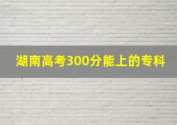 湖南高考300分能上的专科