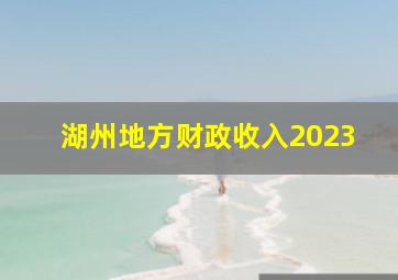 湖州地方财政收入2023