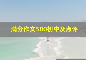 满分作文500初中及点评