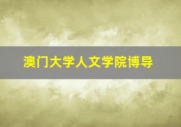 澳门大学人文学院博导