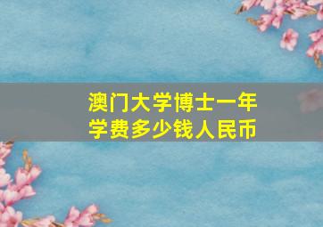 澳门大学博士一年学费多少钱人民币