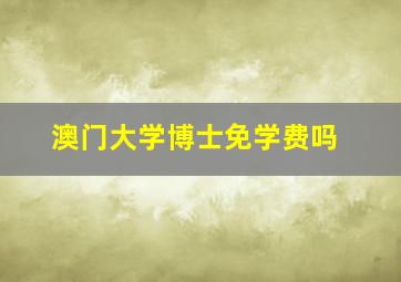 澳门大学博士免学费吗