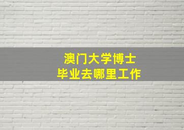 澳门大学博士毕业去哪里工作