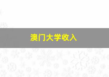 澳门大学收入