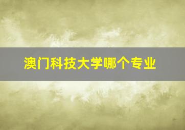 澳门科技大学哪个专业