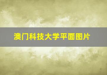 澳门科技大学平面图片