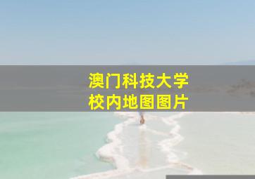 澳门科技大学校内地图图片