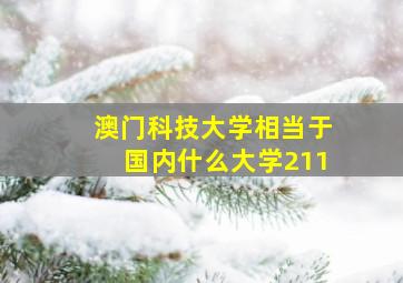 澳门科技大学相当于国内什么大学211