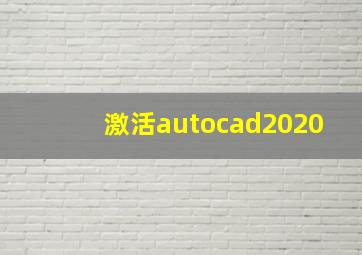 激活autocad2020