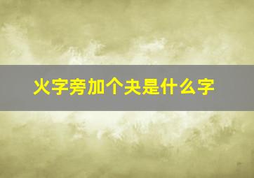 火字旁加个夬是什么字