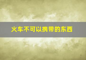 火车不可以携带的东西