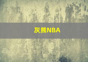 灰熊NBA