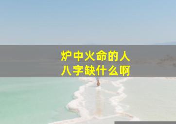 炉中火命的人八字缺什么啊