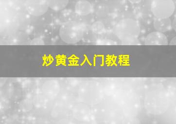 炒黄金入门教程