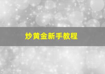 炒黄金新手教程