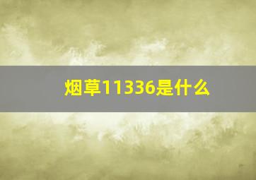 烟草11336是什么