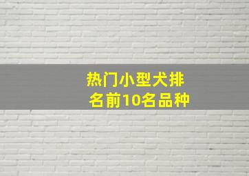 热门小型犬排名前10名品种