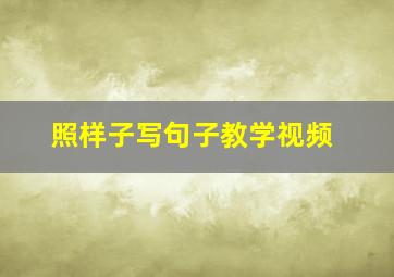 照样子写句子教学视频