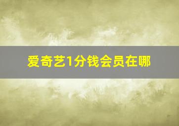 爱奇艺1分钱会员在哪