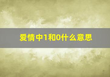 爱情中1和0什么意思